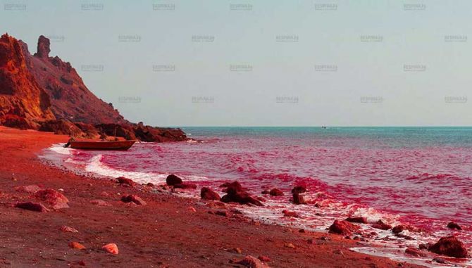 تور قشم از تبریز رسپینا